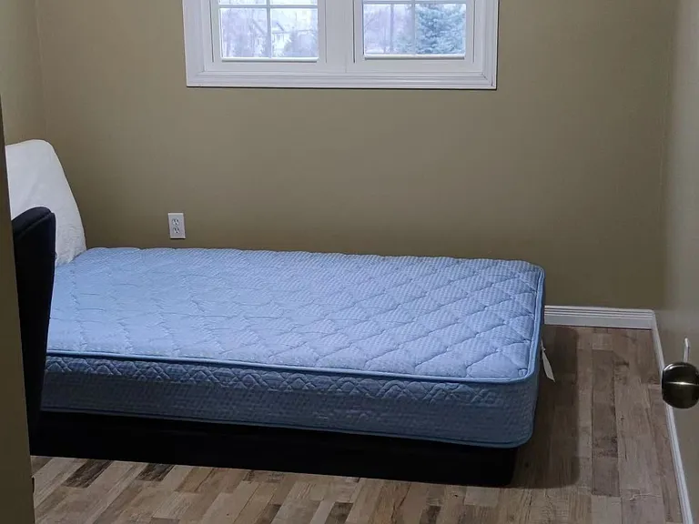 437 Speckled Alder St — Photo 11