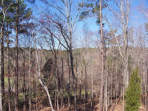 view of Umstead Park from deck