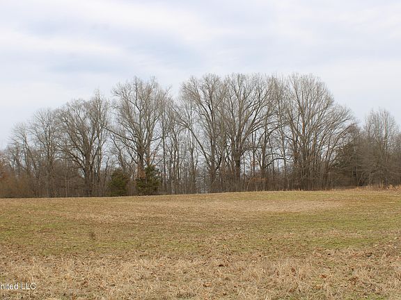 5th image of 4325 Highway 301 N