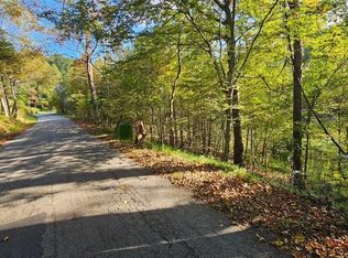 0 Willow Branch Rd, Boones Mill, VA 24065