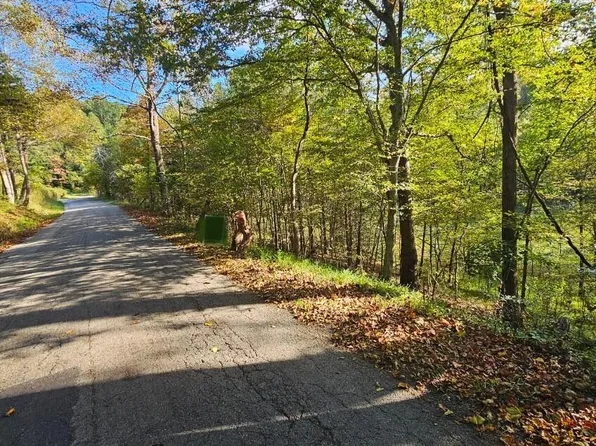 0 Willow Branch Rd, Boones Mill, VA 24065