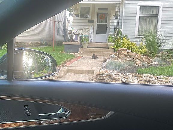 3rd image of 315 Lincoln St