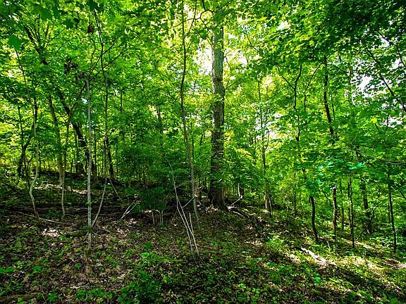 2nd image of 4445 Cliffwood Dr Lot 24-25