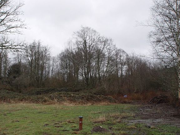 Main Picture - 15-Acres in a natural state.