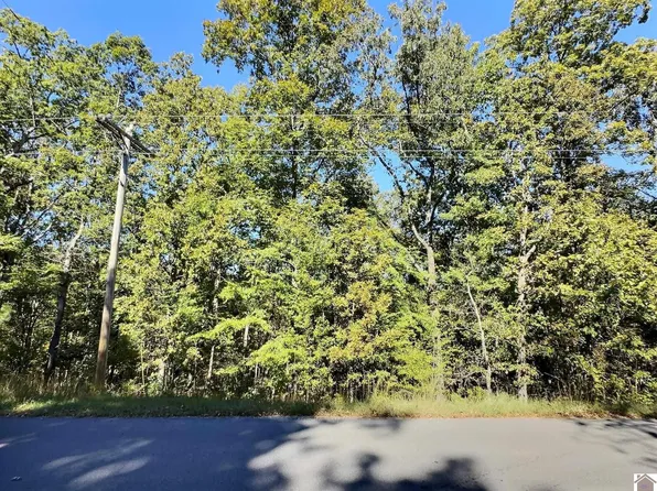 0 Dunbar Rd Lot 251-250, New Concord, KY 42076