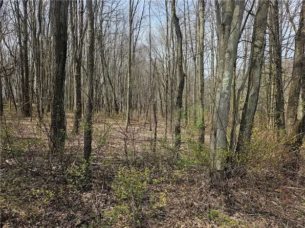 LOT 2 Book Rd, Volant, PA 16156