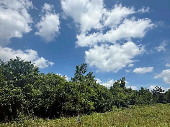 3rd image of LOT 10 County Road 175