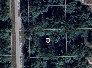 1313 Wyatt St, Labelle, FL 33935