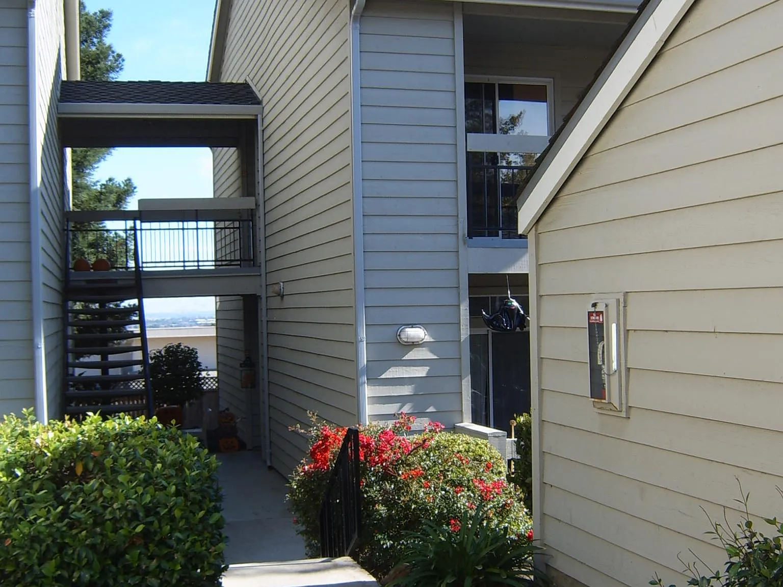 2 bed, 1043 sqft, $2,950 — Photo 3