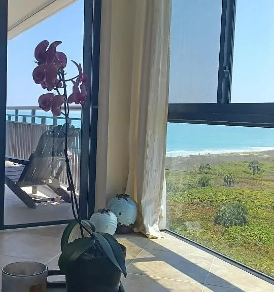 2800 N Highway A1A #806 — Photo 24
