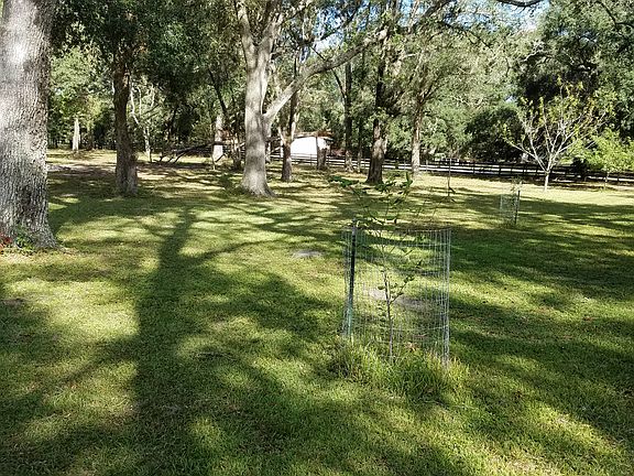 4th image of 13419 Pineda Ave
