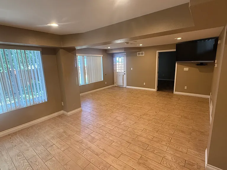 Basement living room
