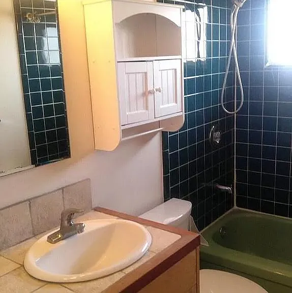 Hall bathroom