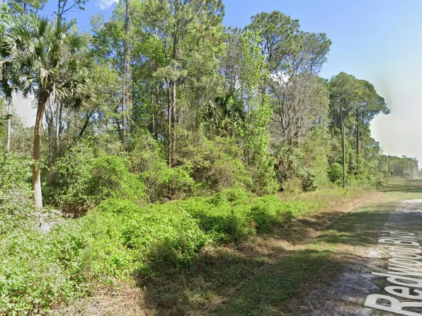 216 Redwood Blvd, Georgetown, FL 32139