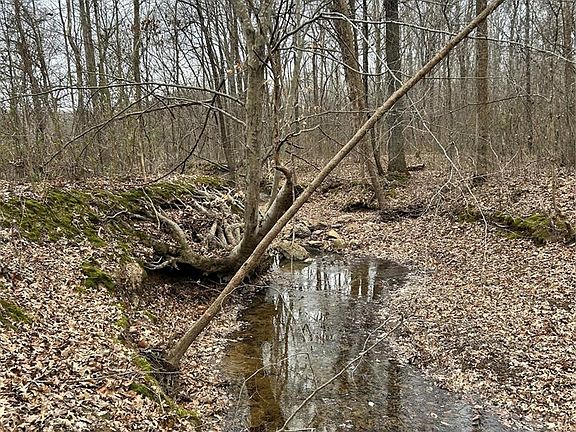 3rd image of Highway T Forest Rd #3697