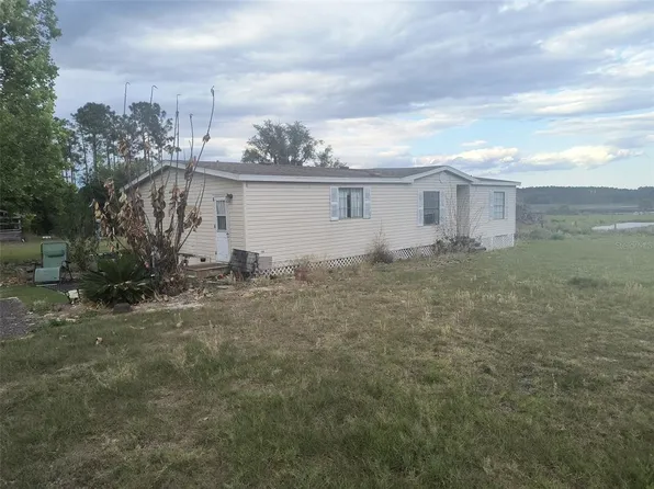 9509 E Dewey Robbins Rd, Howey In The Hills, FL 34737