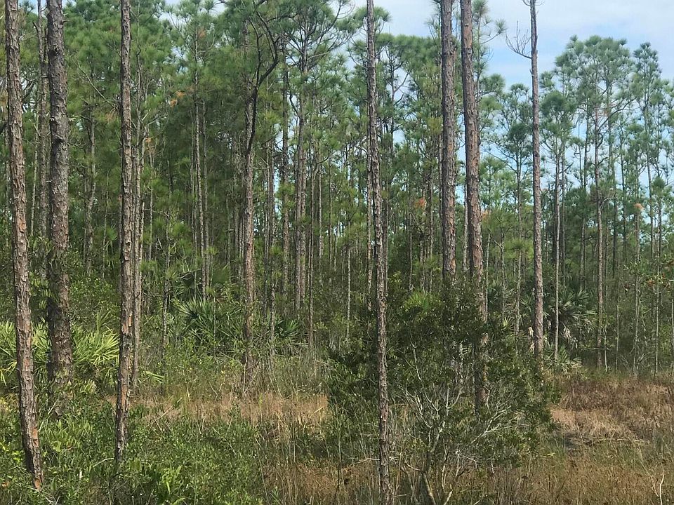 12460 79th St, Fellsmere, FL 32948 MLS RX10931440 Zillow