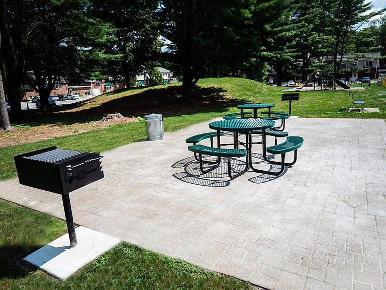 Village Green — Photo 20