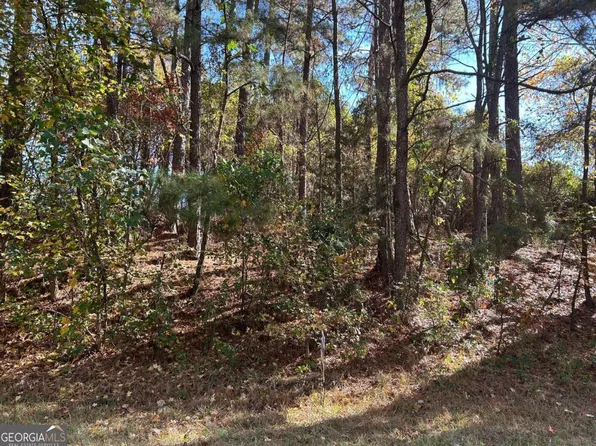 2090 Lee Peters Rd, Loganville, GA 30052