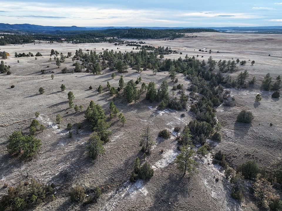 Dji Fly 20260210 153906 0798 1771352765518 Photo