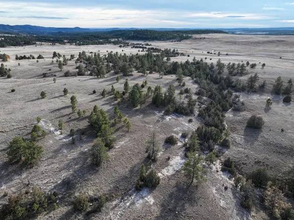 11451 E Remington Rd, Custer, SD 57730