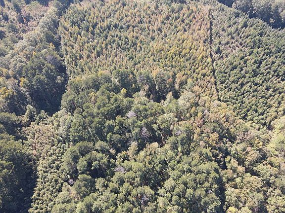 3rd image of 572 Harristown Rd