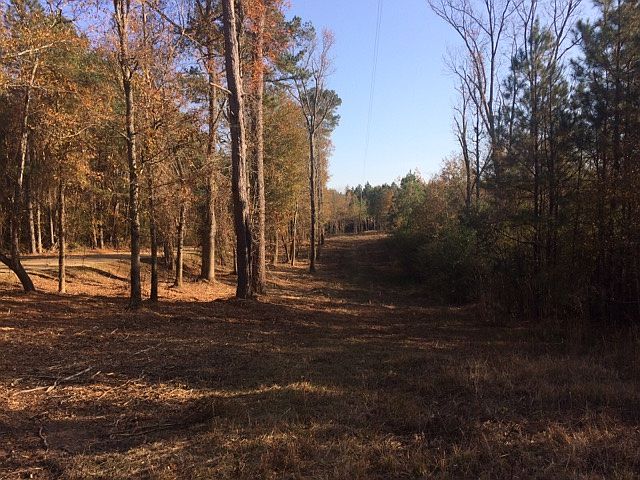 2nd image of 549 Antioch Shiloh Rd
