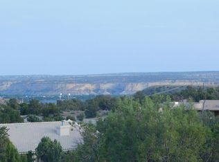 X Lions Trl, Farmington, NM 87401