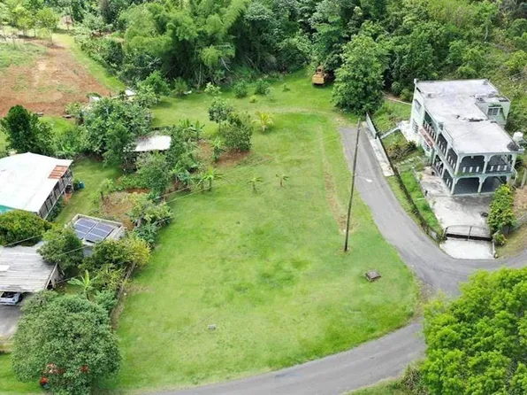 Caimital, Aguadilla, PR 00603