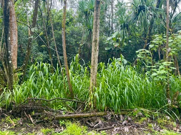 Nenue St Lot 1352, Pahoa, HI 96778