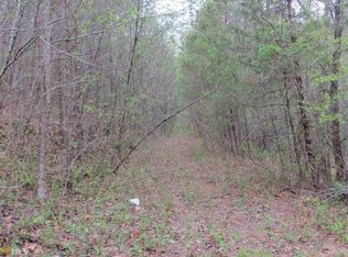 24 Gold Ditch Rd, Cleveland, GA 30528