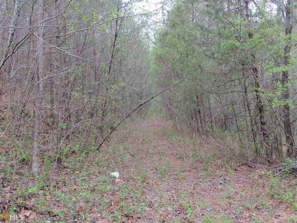 489 Stanley Nix Rd photo 1