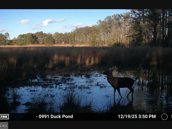 2839 Lakesville Crapo Rd, Church Creek, MD 21622