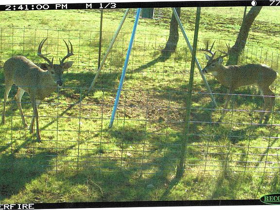 2nd image of 11997 County Road 2001
