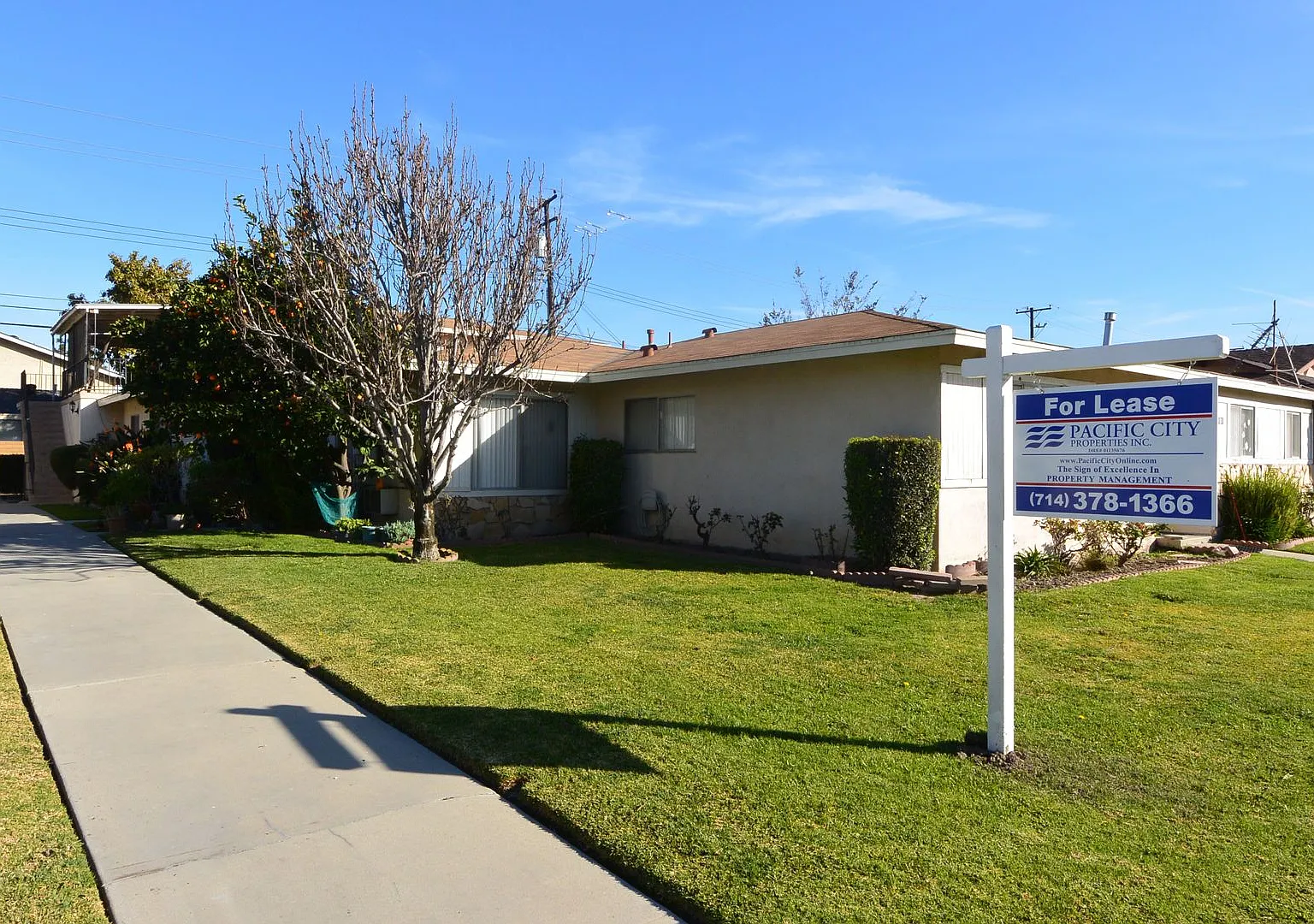 BEL5901 — Photo 1
