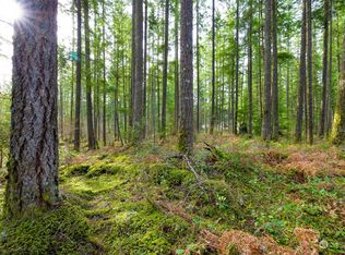 26 SE Summit Landsburg Rd, Ravensdale, WA 98051