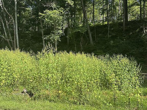 2nd image of 0 Pleasant Hill Rd