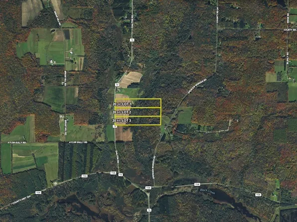 County Route 16 Lot Wp002, Dalton, NY 14836