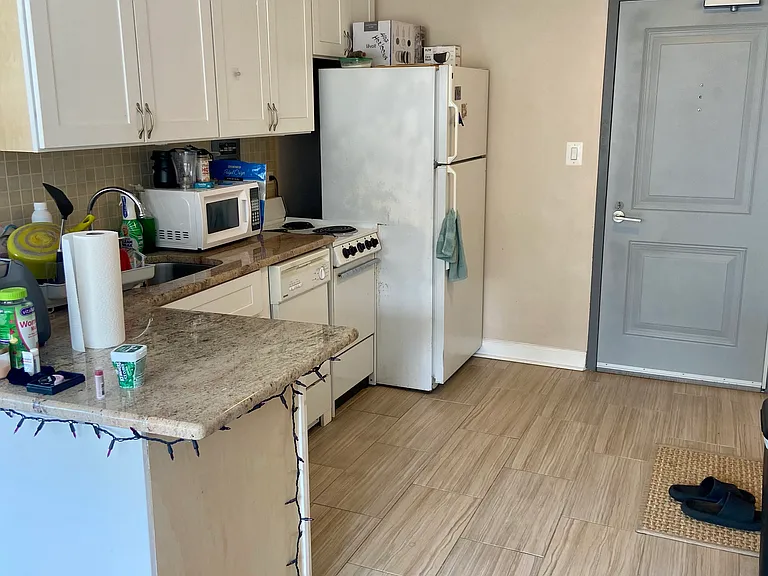 3420 N Lake Shore Dr #12J — Photo 20