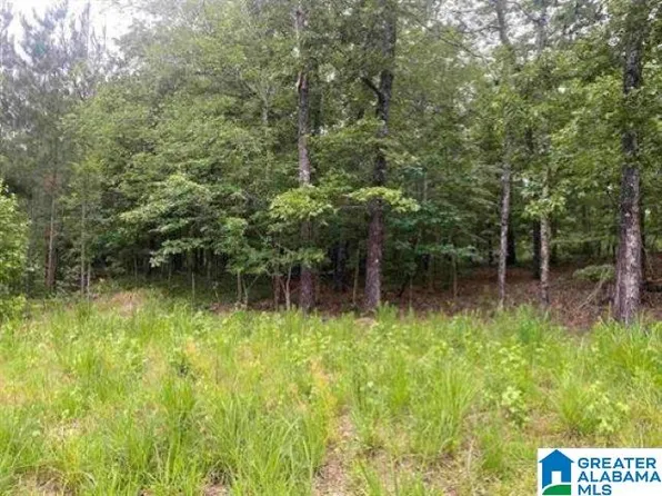 5020 Laurel Lakes Ter #0, Bessemer, AL 35022