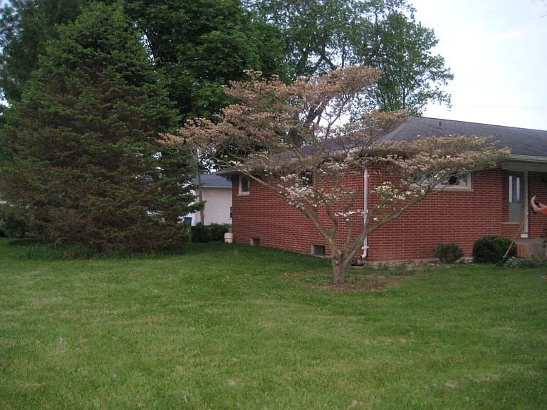 409 S Tamarack St — Photo 4