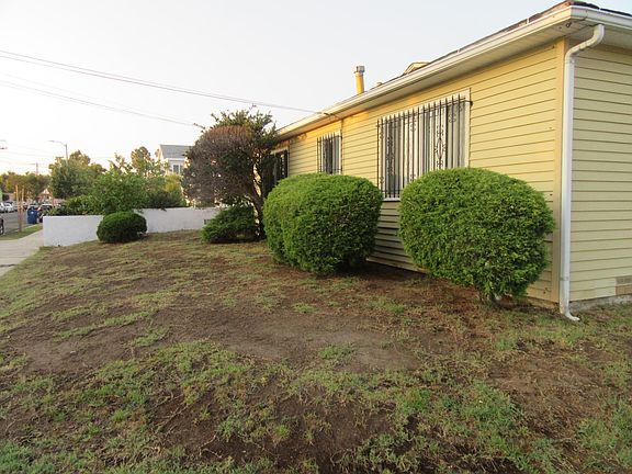 ALONG THE SIDE OF THE HOUSE