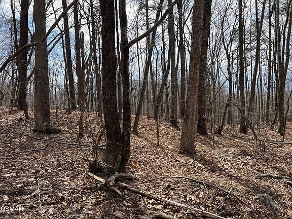 2nd image of 12 Swann Saddle Rd Lot 12