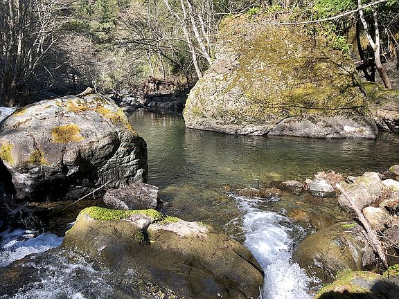 Easy Access Swimming Hole
