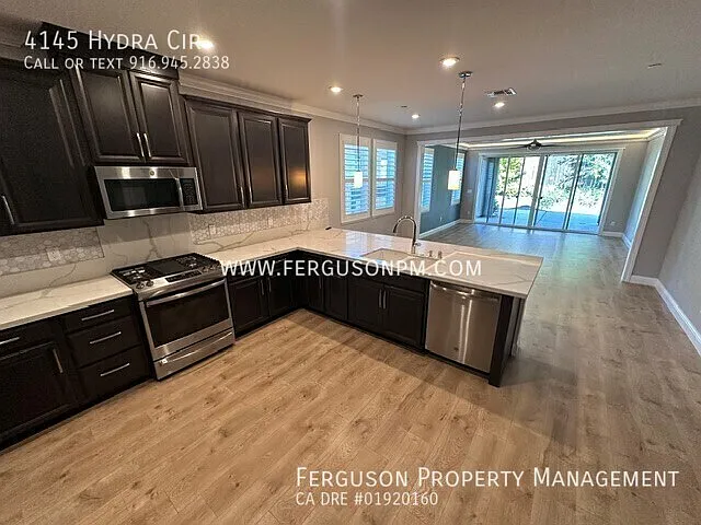 4145 Hydra Cir — Photo 3