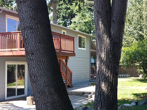 back yard