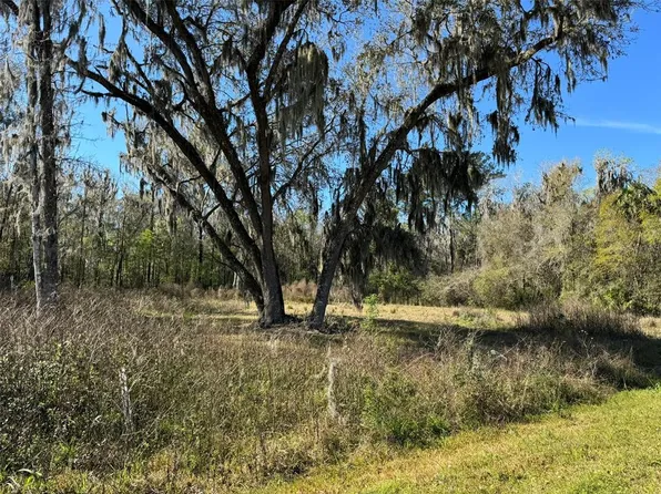 11372 W Highway 318, Reddick, FL 32686