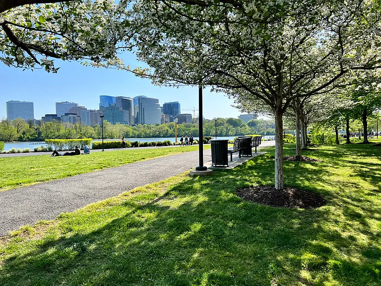 Potomac river water view, about 8 blocks from property
