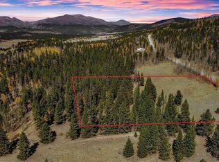 425 Platte River Dr #6, Fairplay, CO 80440