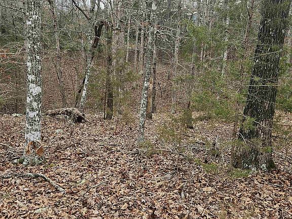 4th image of 002-08164-000 County Road 146